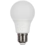Ampoule LED Philips 40 W, lumière blanche 6 500 K, culot normal E27 from  at M4D # 