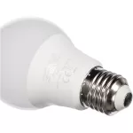 Ampoule LED Philips 40 W, lumière blanche 6 500 K, culot normal E27 from  at M4D # 