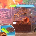 Futterbox für Reptilien, Amphibien, Hundertfüßer from  at M4D # 