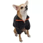 Sweat Cat Dog Outfit from  at M4D # 