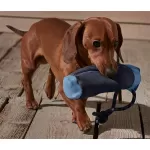 Köpekler İçin Ödül Mamalı Oyuncak from  at M4D # 