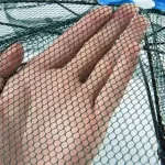 Şemsiye Şeklinde Balık Tutma Filesi from  at M4D # 252451125