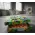 Pizza Kutuları from  at ESAR # Dr.01
