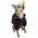 Sweat Kedi Köpek Kıyafeti from  at M4D # 