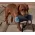 Köpekler İçin Ödül Mamalı Oyuncak from  at M4D # 