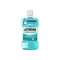 Listerine Cool Mint Ağız Bakım Suyu 250 Ml from  at M4D # 